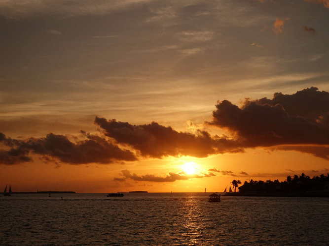 MIA_2023-08-12 19-54-02_RX_06031